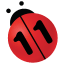 n11